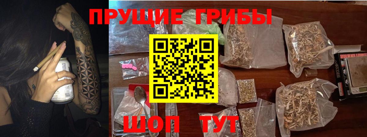 Реж  Галлюциногенные грибы GOLDEN TEACHER  Вход с VPN 